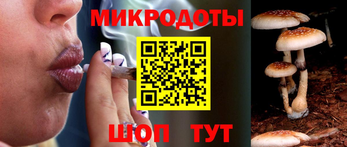 Галлюциногенные грибы Cubensis Батайск